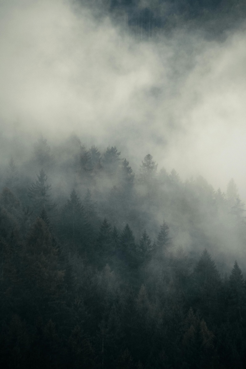 Hlavné príčiny dopravných nehôd: rýchlosť, nepozornosť a odstup